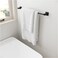 Pfister BTB2VRVB Bath Hardware Matte Black