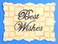 Designer Stencils Script Celebration Cake Stencils Set BeigeSemiTransparent
