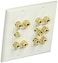 Monoprice 2Gang 51 Surround Sound Distribution Wall Plate
