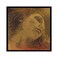 Pirastro Violin Evah Pirazzi Gold Set Medium Gold Ball