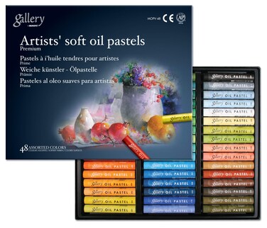 MUNGYO Gallery Artists Soft Oil Pastels Professional 48 Assorted Colors Vibrant and Blendable