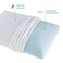 Sleep Innovations Classic Memory Foam Pillow Queen Pack of 1 White