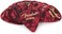 Fender Premium Celluloid Guitar Picks 351 Shape Red Moto Medium 12Pack