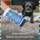 Pet Life Unlimited Carpet Refresher Powder Carpet Deodorizer Powder Pet Safe  Carpet Powder Pet Odor Eliminator for Carpet with PlantBased Juniper Leaf Scent  Made in the USA  16oz Pack of 1