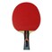 Butterfly Timo Boll Carbon Fiber Ping Pong Paddle  ITTF Approved Table Tennis Racket  Ping Pong Sponge and Rubber  Carbon Layers in Ping Pong Racket for Power  Professional Ping Pong Paddle 1000 Model