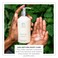 Zents Hand and Body Wash Fresh Fragrance Moisturizing AntiAging Cleanser with Organic Shea Butter  Aloe for Dry Skin 10 fl oz