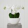 Nearly Natural Phalaenopsis Silk Flower Arrangement
