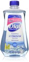 Dial Complete Spring Water Foaming Antibacterial Hand Wash Refill 40 Oz
