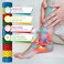 Foot Log Foot Roller Massager  Foot Massager for Plantar Fasciitis  Foot Massagers for Neuropathy Pain and Circulation  Heel Spur Pain Relief  Foot Reflexology  Relaxation Gifts for Women and Men
