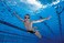 Arena Unisex Youth Spider Junior Swim Goggles Girls and Boys Ages 6 to 12 No Fog NonMirror Lens Easy to Adjust Strap No Leak BlueLightblueBlue