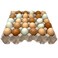Paper Pulp Egg Trays  20 Pack