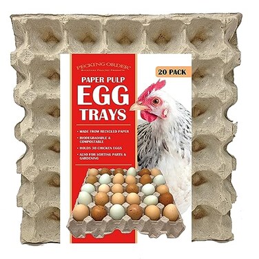 Paper Pulp Egg Trays  20 Pack