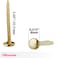 Officemate Brass Plated Fasteners 125Inch Length 0375Inch Head 100 per Box 99815