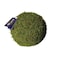 SuperMoss 21657 Moss Ball Fresh Green 6