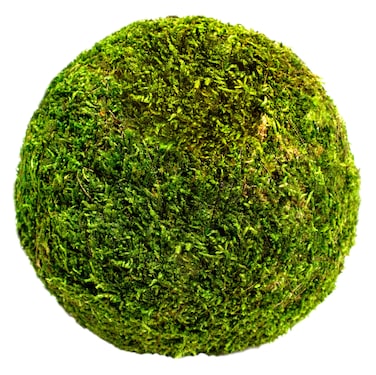 SuperMoss 21657 Moss Ball Fresh Green 6