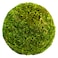 SuperMoss 21657 Moss Ball Fresh Green 6