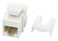 Legrand  OnQ RJ45 Keystone Insert Cat 5e Keystone Jack Terminate with Punch and Go Tool or Any 110 Punchdown Tool White 50 Pack WP3475WH50