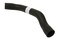 URO Parts 31319444 Radiator Hose