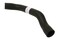 URO Parts 31319444 Radiator Hose