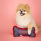 Doggy Parton Plush Dog Toys Collection  Barking 9 to 5