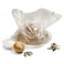 Norpro 276 Brining Bag One Size