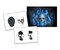 UMRDesign AS010 Skull Airbrush Stencil Template Step by Step Size L