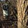 HME Trail Camera Holder Tree Mount with 360degree Rotational Camera Head  Compact Sturdy Design  Easy Installation  Versatile Compatibility