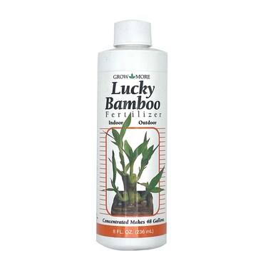Grow More Lucky Bamboo Fertilizer 222 8 Fl Oz  Makes 48 Gallons Concentrated Liquid Bamboo Fertilizer Outdoor and Indoor Plant Food