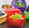 Hutzler Berry Keeper Box 1 Quart Red