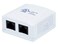 Monoprice Surface Mount Box Cat5e Double 107091 white