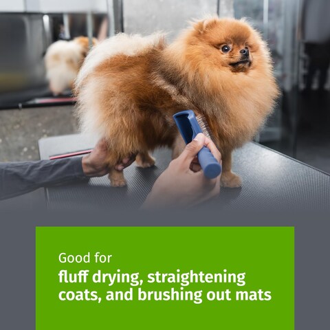 Show Tech Tuffer Than Tangles Slicker Brush for Dog Grooming with Long Soft Pins Medium Size Perfect for Doodle Breeds Angled Pins for Dematting Remove Undercoat Comfort Grip Handle