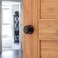 Baldwin Carnaby Interior Privacy Door Knob Handle for BedroomBathroom Keyless Door Lock With Microban Protection in Venetian Bronze