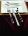 Fortessa Still 1810 Stainless Steel Flatware 5 Piece Place Setting Service for 1Silver