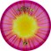 Discraft Fly Dye Z Buzzz SS 173174 Gram MidRange Golf Disc