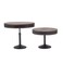 Mikasa Cake Stand Set of 2 Brown