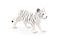 MOJO White Tiger Cub Realistic International Wildlife Hand Painted Toy Figurine