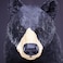 Safari Ltd North American Black Bear Toy Figurine  Detailed 74 Plastic Model Figure  Fun Educational Play Toy for Boys Girls  Kids Ages 1