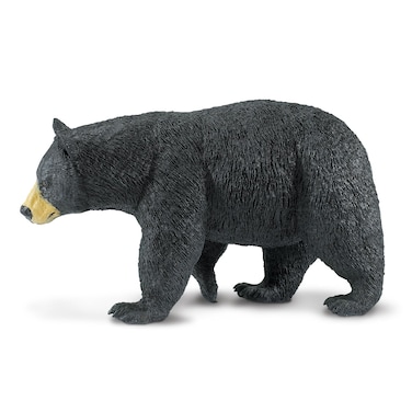 Safari Ltd North American Black Bear Toy Figurine  Detailed 74 Plastic Model Figure  Fun Educational Play Toy for Boys Girls  Kids Ages 1