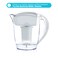 Santevia Water Systems P421 Alkaline Water Pitcher Filter White 1 Count