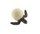 Safari Ltd Life Cycle of a Green Sea Turtle  Educational Toy Figurines  Miniature Turtle Lifecycle Collection for Boys Girls  Kids Age 4