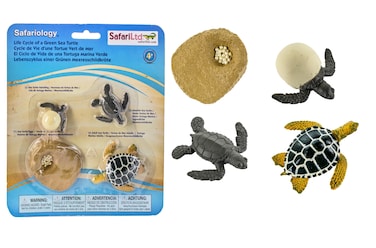 Safari Ltd Life Cycle of a Green Sea Turtle  Educational Toy Figurines  Miniature Turtle Lifecycle Collection for Boys Girls  Kids Age 4