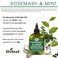 Difeel Rosemary and Mint Premium Hair Oil with Biotin 71 oz PACK OF 2  Made with Natural Mint  Rosemary Oil for Hair Growth