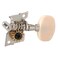Golden Gate F2219 Acoustic Guitar Tuners  6 Individual 33  Chrome