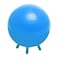 Champion Barbell Stability Ball with Feet 45cm
