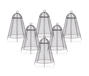 boldworks Garden Cloches for Plants Chicken Wire Cloche Plant Protector Pack of 6 Rustproof and Finer Mesh Outdoor Cages to Protect from Deer and Other Critter 20x12 Inch Extra Large