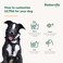 BASKERVILLE ULTRA MUZZLE  Patented Humane Design Breathable Dog can Pant and Drink Adjustable Padded Dog Training Muzzle for Small Dogs Prevents Biting Wildlife Scavenging Size 2 Black