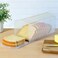 Youngever Plastic Bread Container Sandwich Size Bread Storage Bin Bread Dispenser