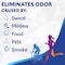 Febreze Laundry Detergent Additive Original Strength In Wash Odor Eliminator Designed to Remove Odors in a Single Wash Caused by Sweat Food Smoke Fresh Scent 50 fl oz 2 Pack