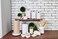 Mud Pie Kitchen Canister Set of 3 White
