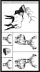 Armour Etch Stencil Rub N Etch Stencil Wildlife 5Inch by 8Inch